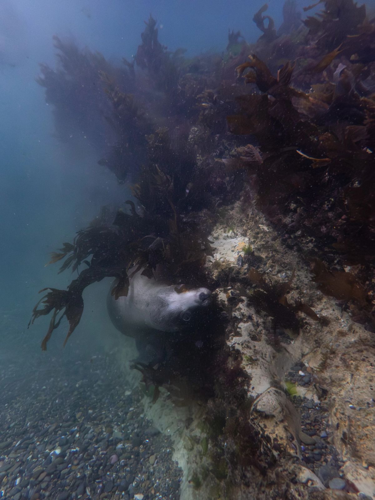 underwater