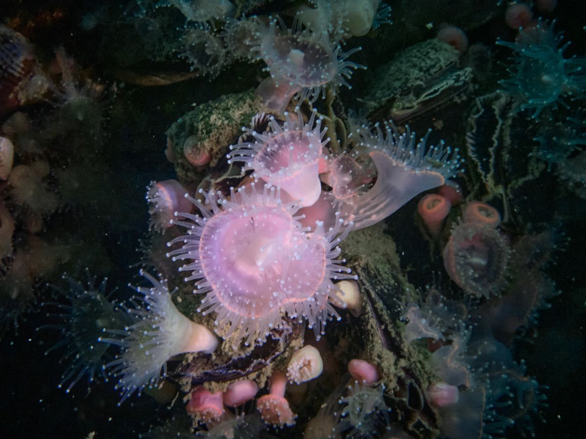 underwater