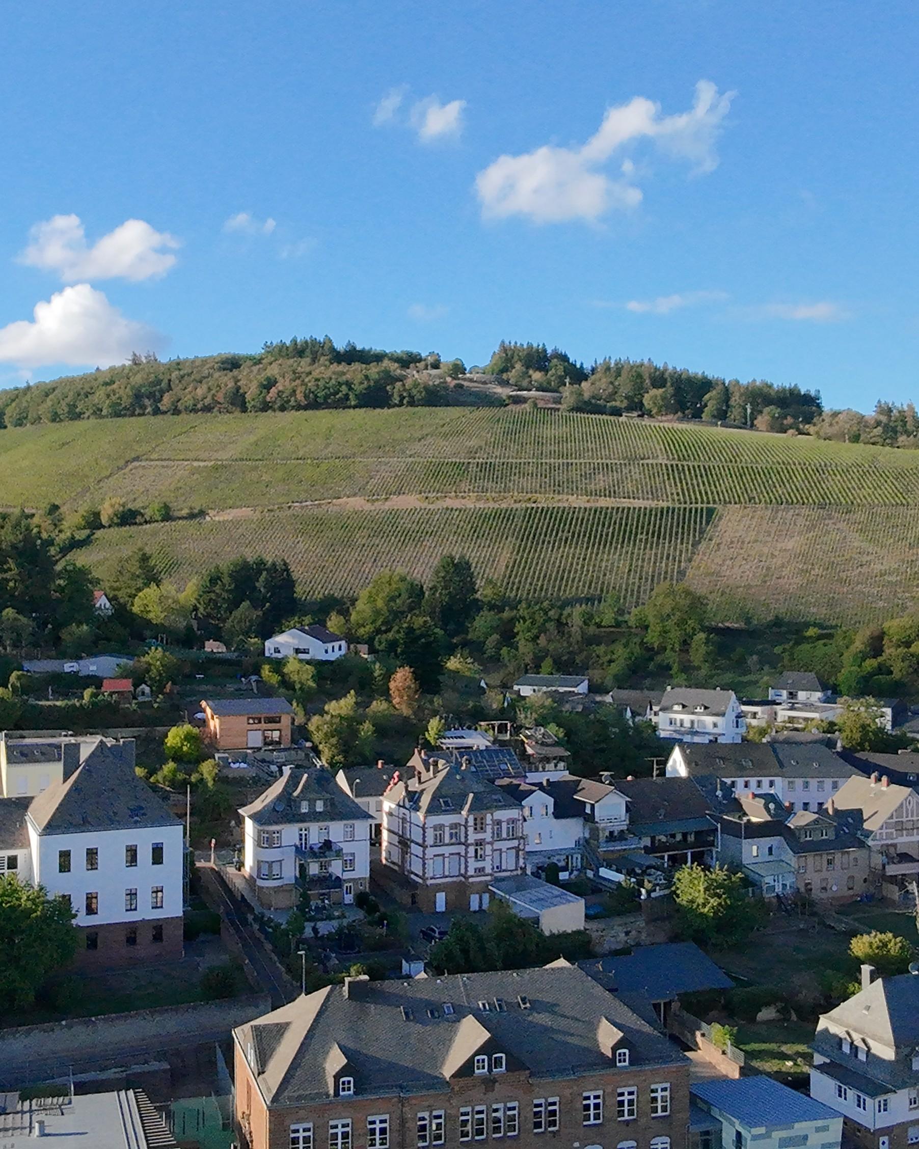 Weinberge über den Dächern von Saarburg unter blauem Himmel