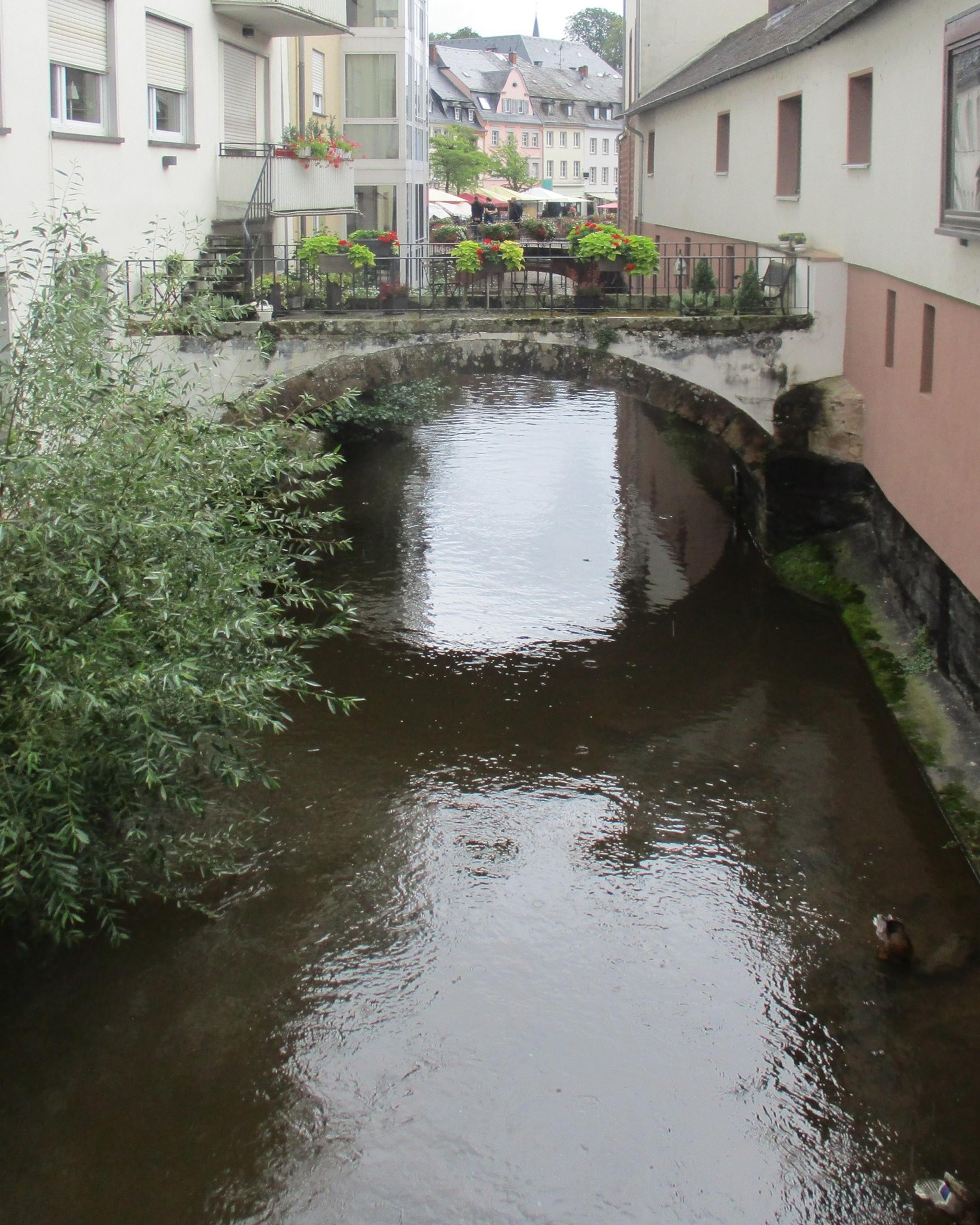 Leukbach mit Steinbrücke zwischen Häusern in der Saarburger Altstadt