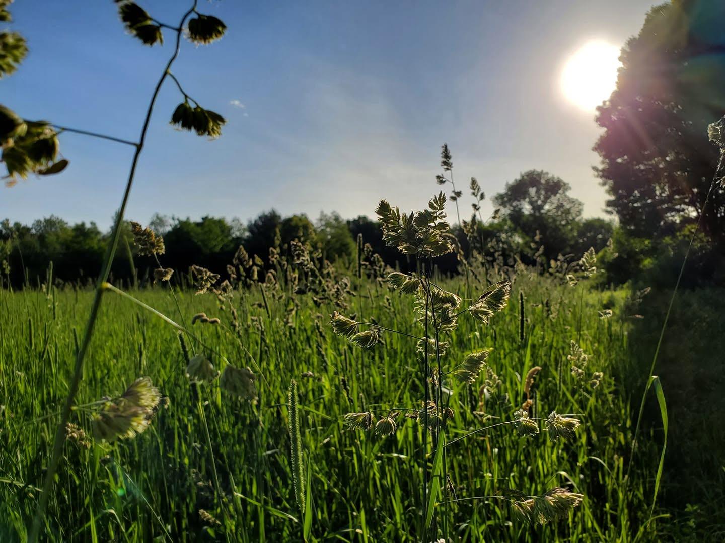 Peaceful countryside farm landscape