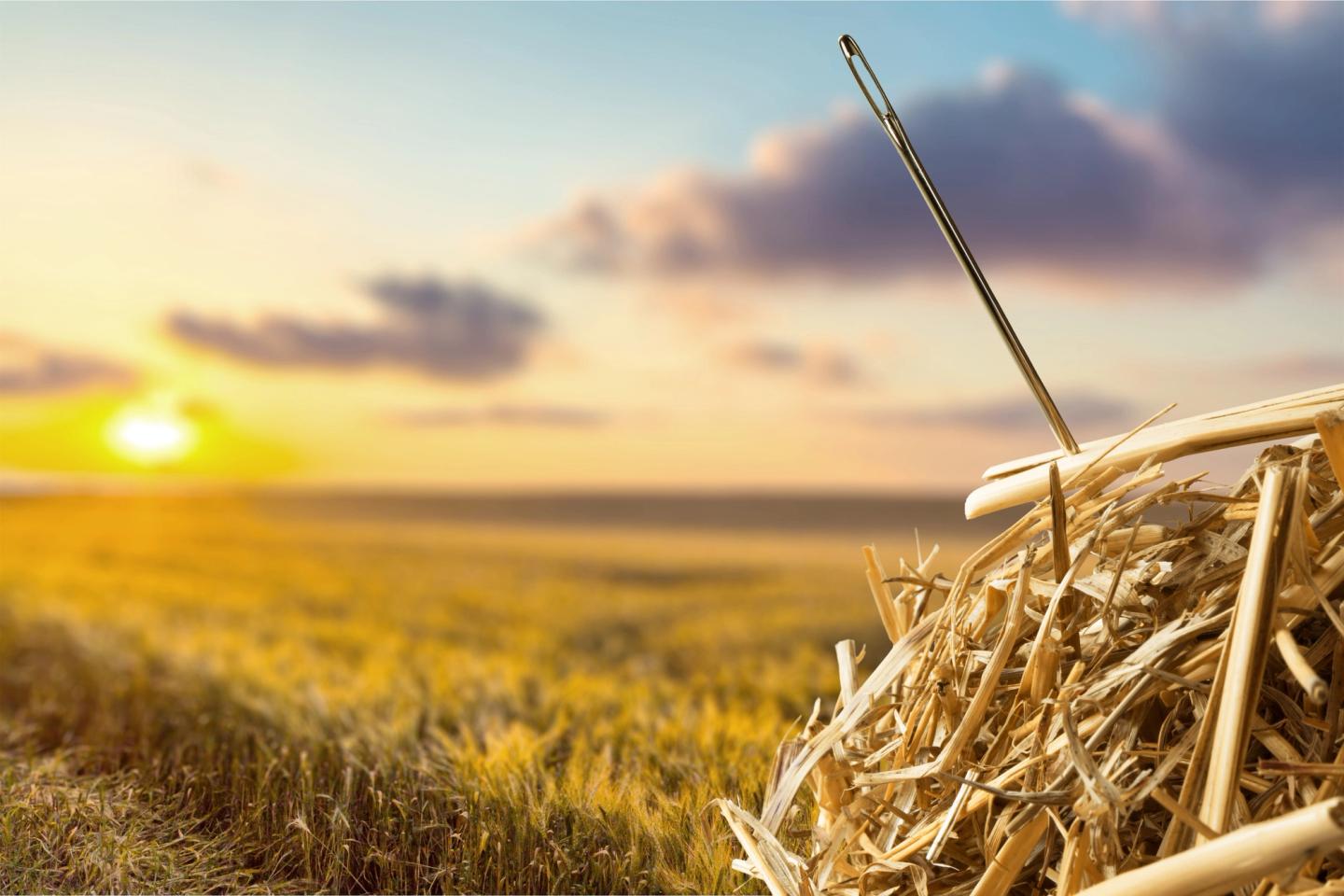 Round hay bales in a golden field at harvest time
