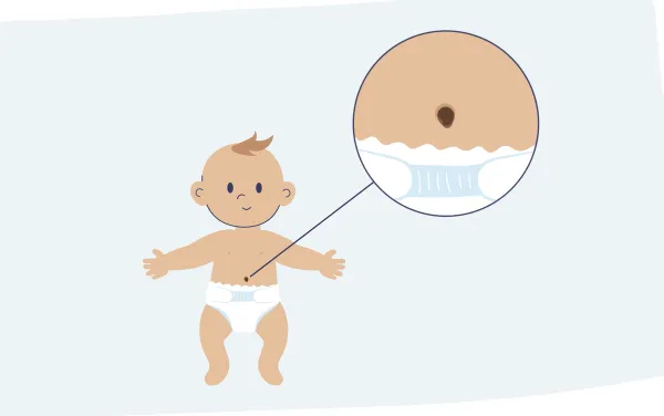 Bilde fra animasjonsfilmen fra NASKO