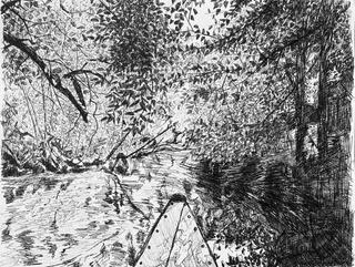 Pentekening van een riviertje tussen de bomen in zwart/wit