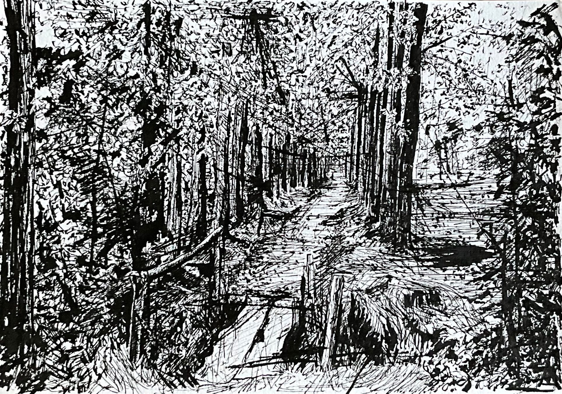 Tekening met inkt van een bruggetje in het bos