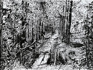 Tekening met inkt van een bruggetje in het bos
