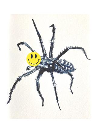Tekening van een spin met een smiley