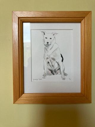 tekening van een hondje