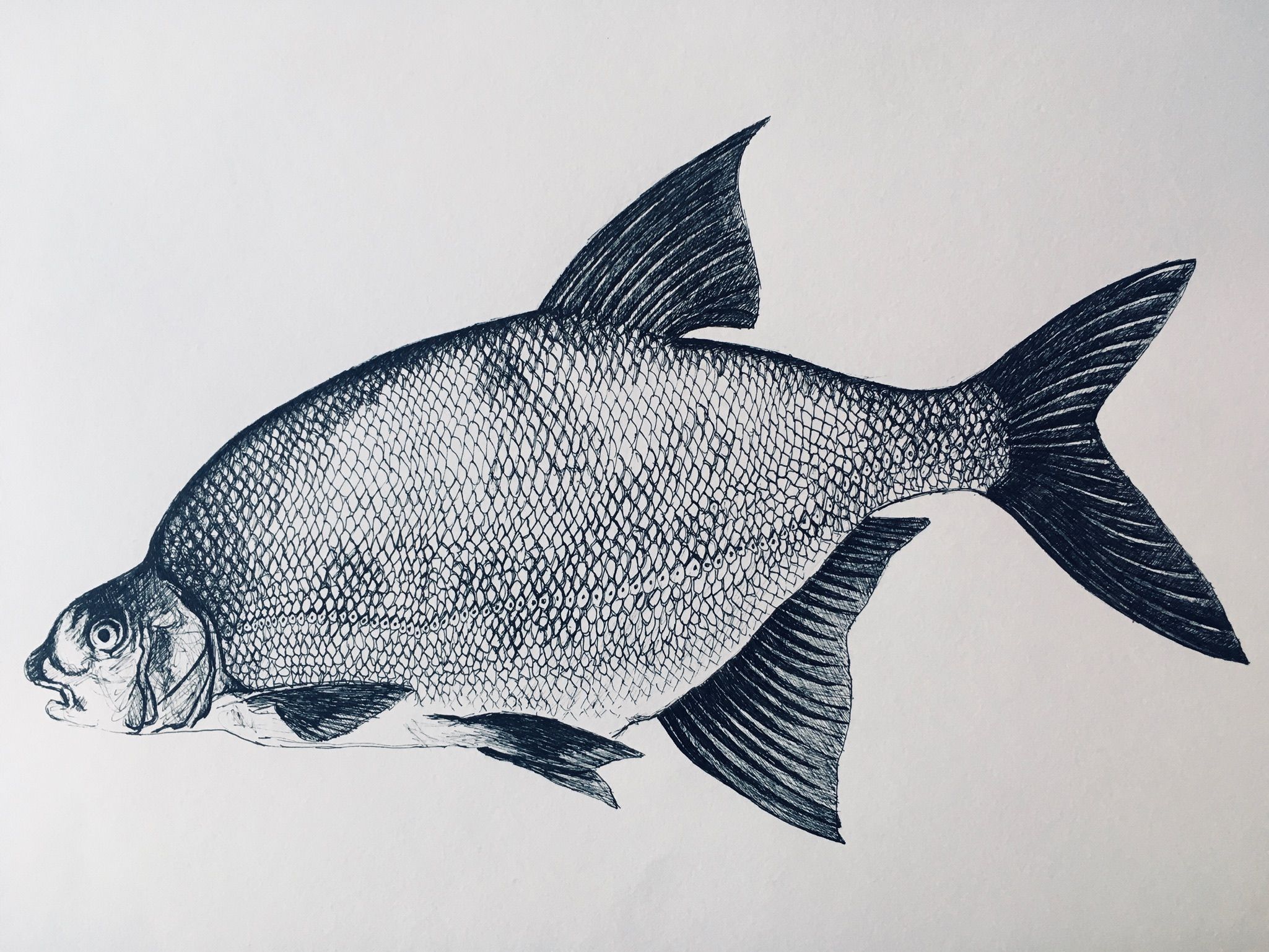 Brasem inkt op papier