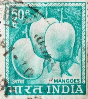 “Threads, Tastes, Crafts & Traditions: India’s GI Tags Uncovered”