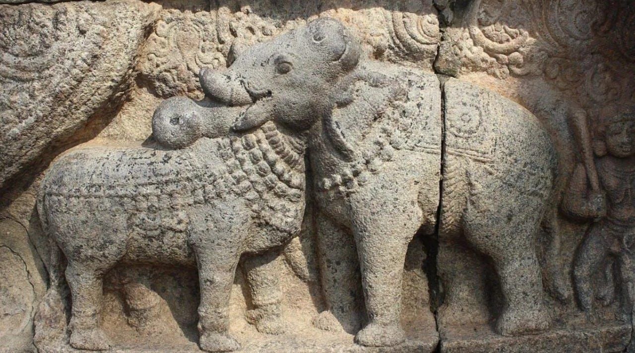 DARASURAM AIRAVATESWARAR TEMPLE