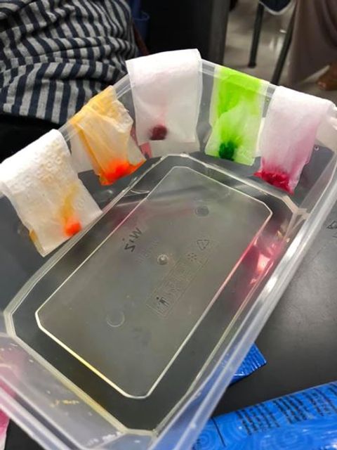 Teaching chromatography concept