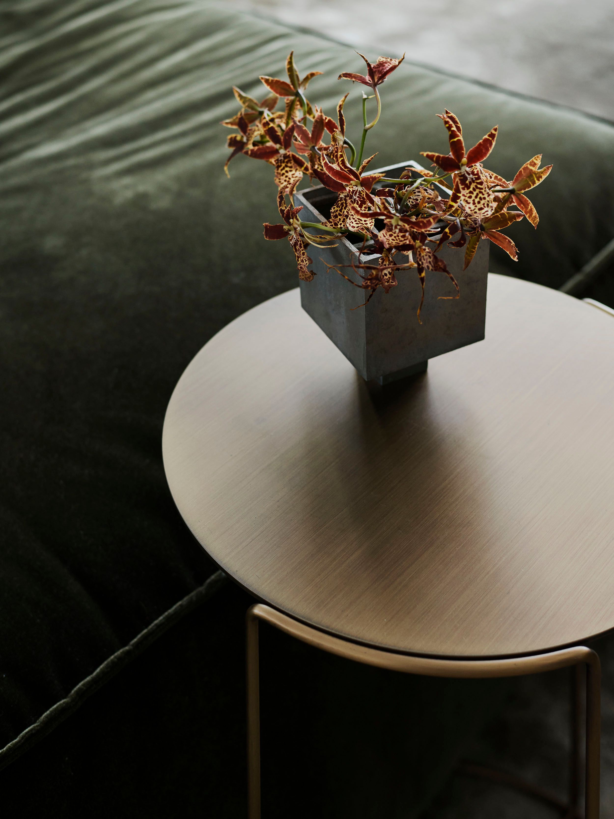 Sculptural orchid arrangement on a bronze side table complements an olive velvet sofa.