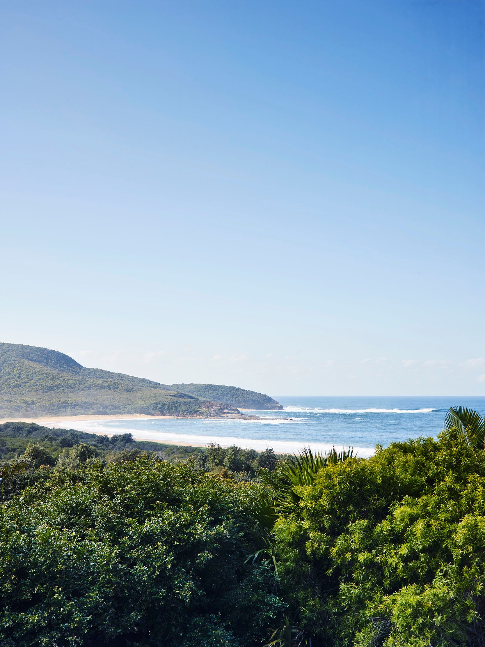 Killcare Coastal view over dense green bushland toward a sandy beach, headland, and ocean under a clear blue sky