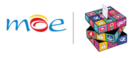 Misión de Observación Electoral - MOE