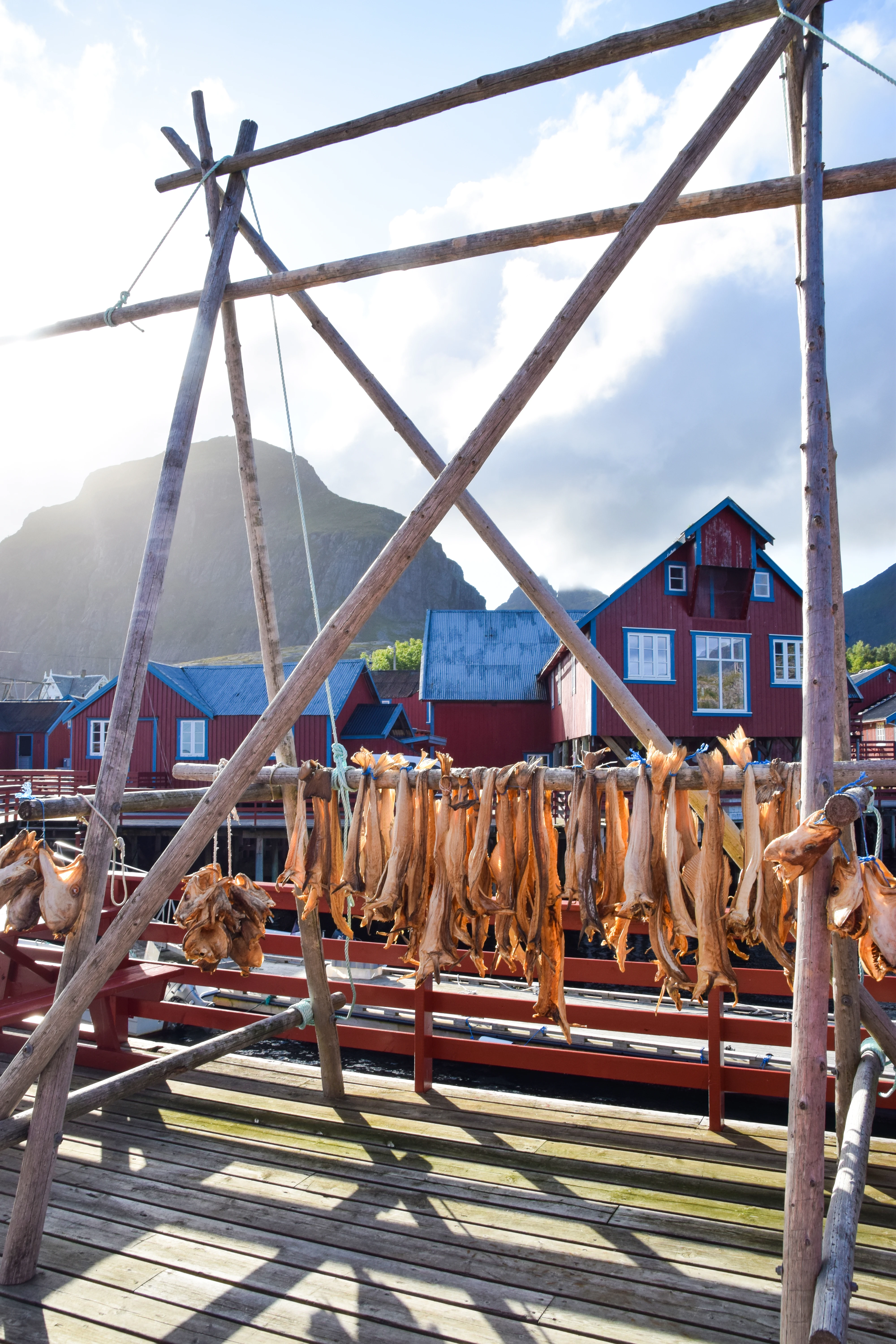 Stadig flere matturister reiser ens ærend til fiskeværet for å spise fisken hvor den fanges. Foto: Mari Bareksten