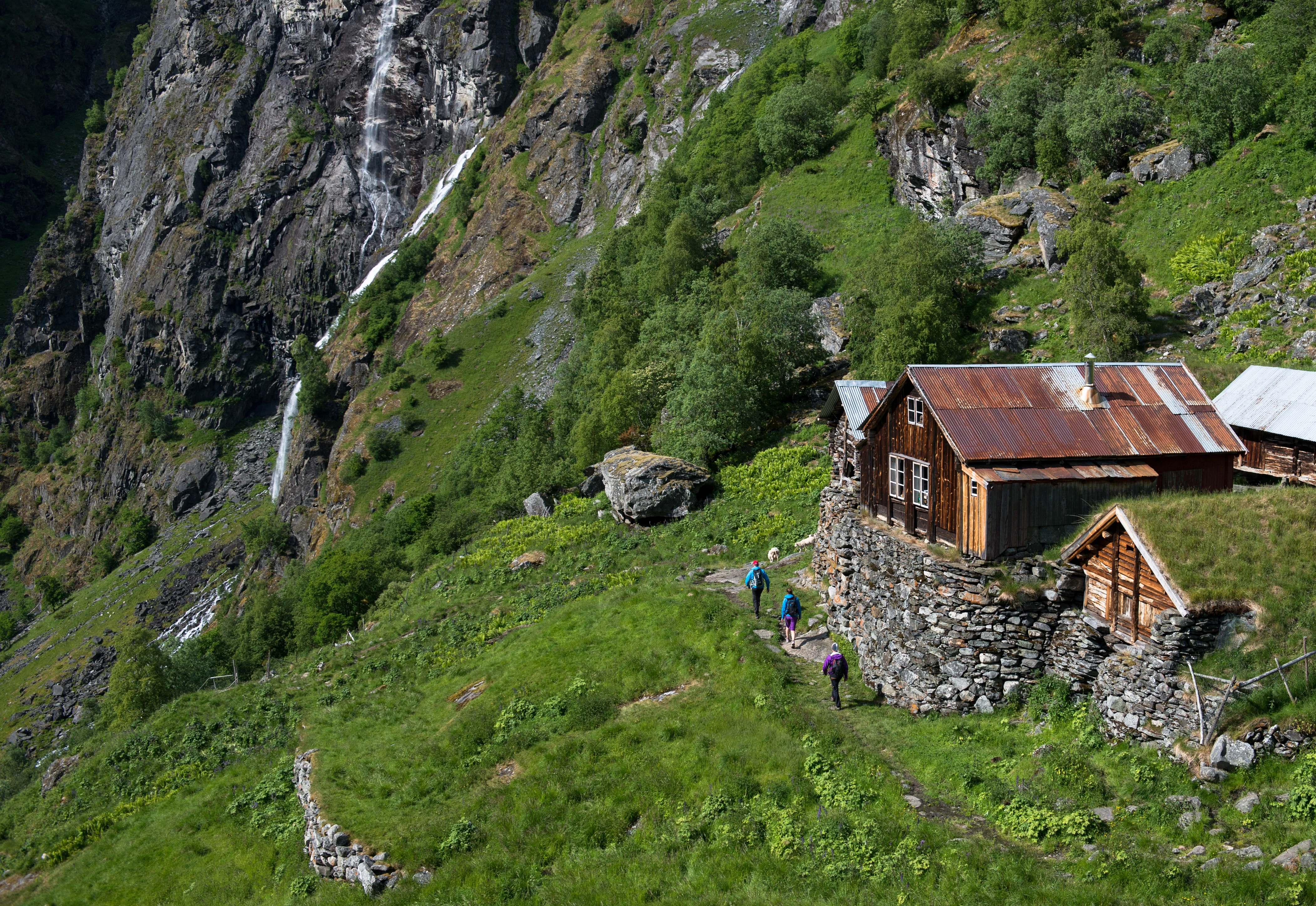 Foto: Sverre Hjørnevik.