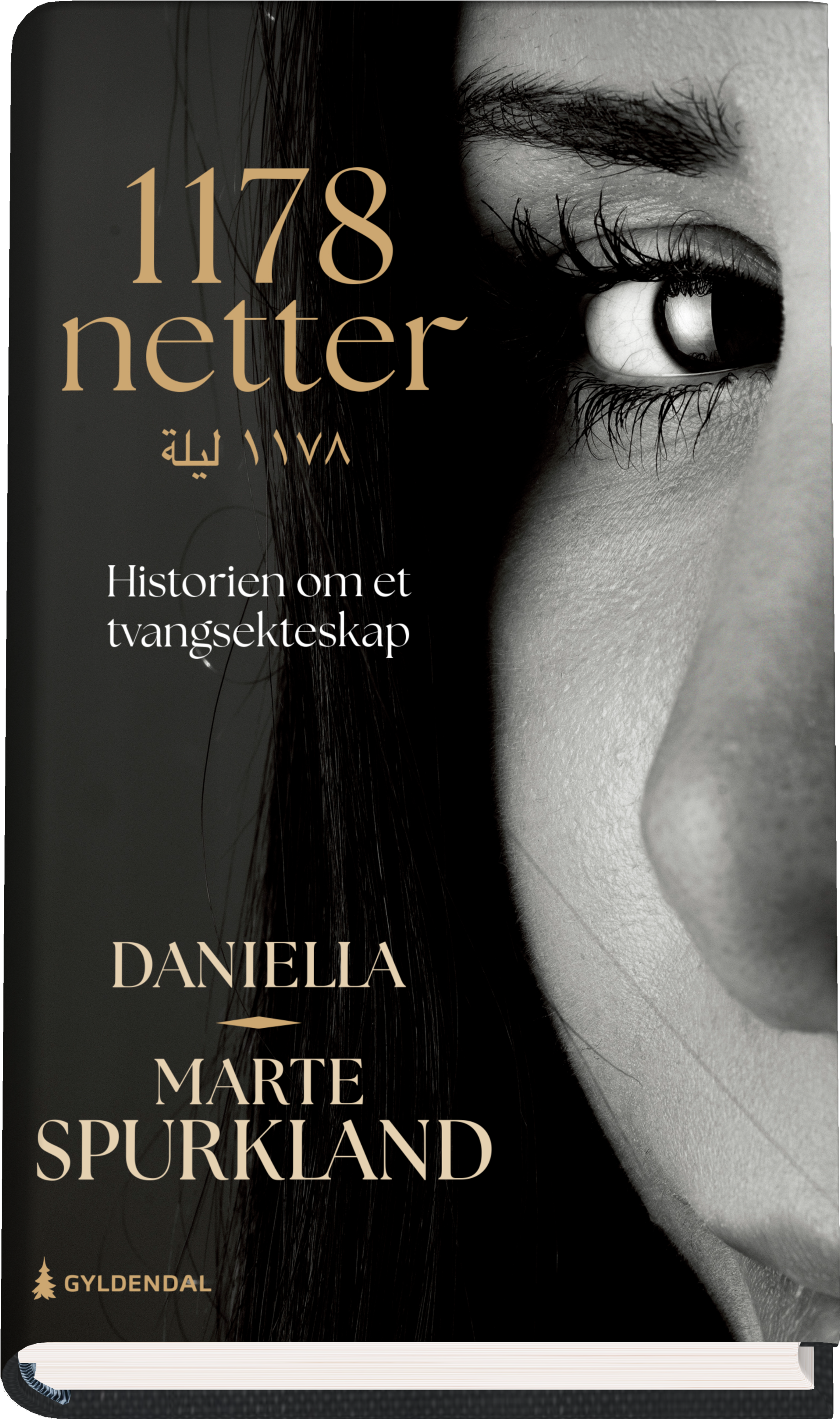 Bokomslag for "1178 netter  av Daniella og Marte Spurkland "