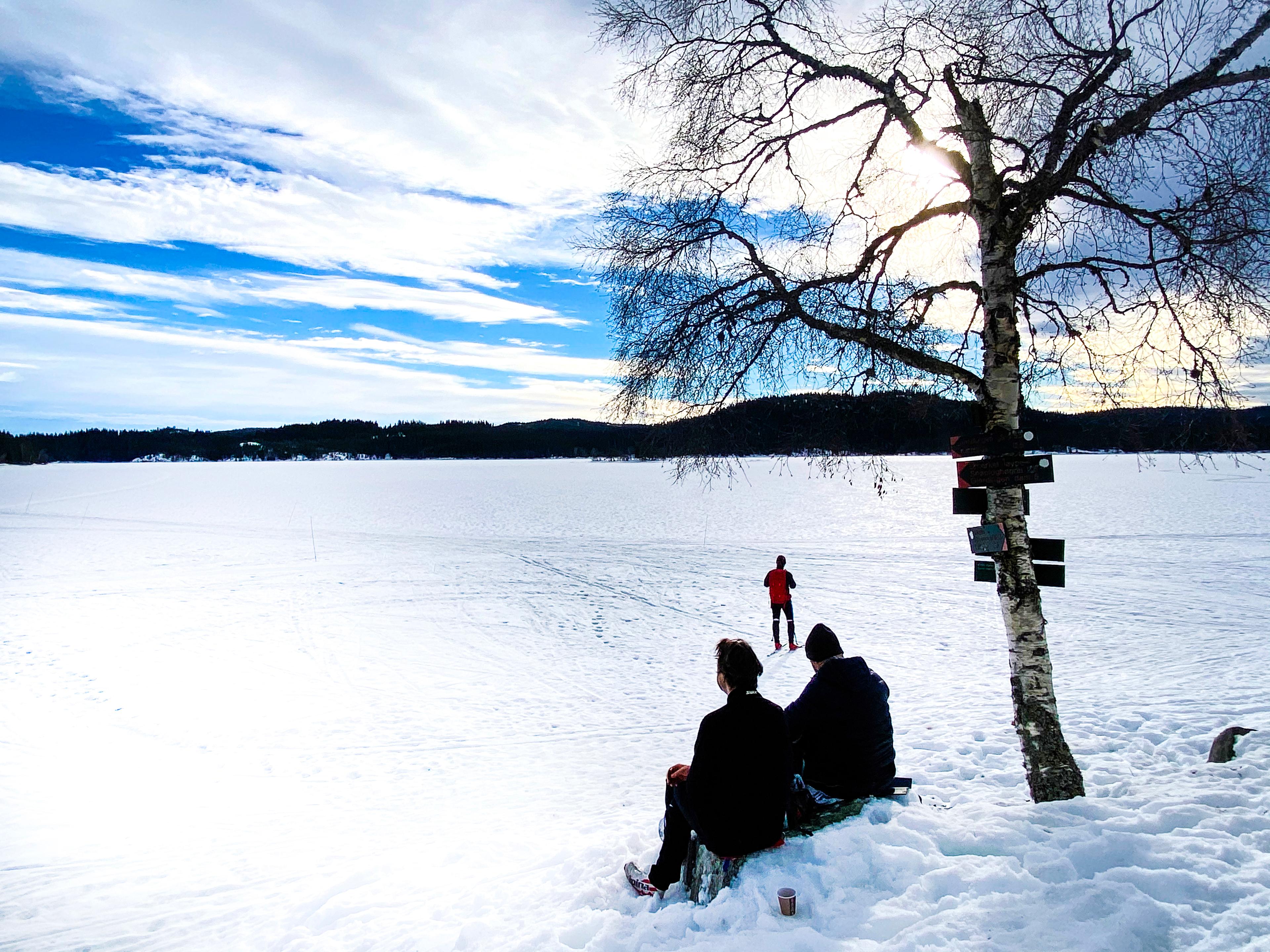 Opplev vintereventyret i Nordmarka. Foto: Torild Moland