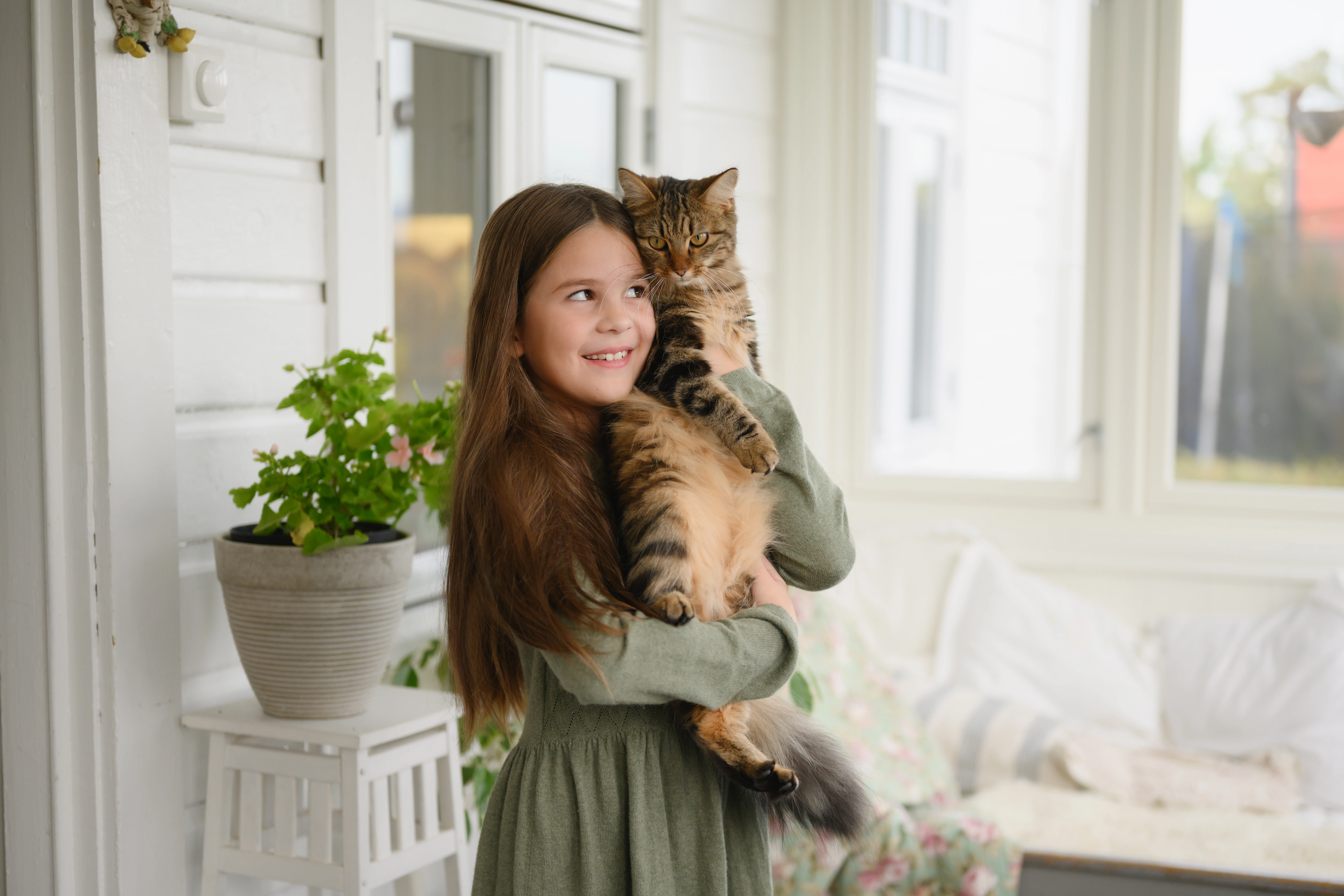 Katten Milla kommer løpende for å få kos når Madicken er ferdig på skolen. 