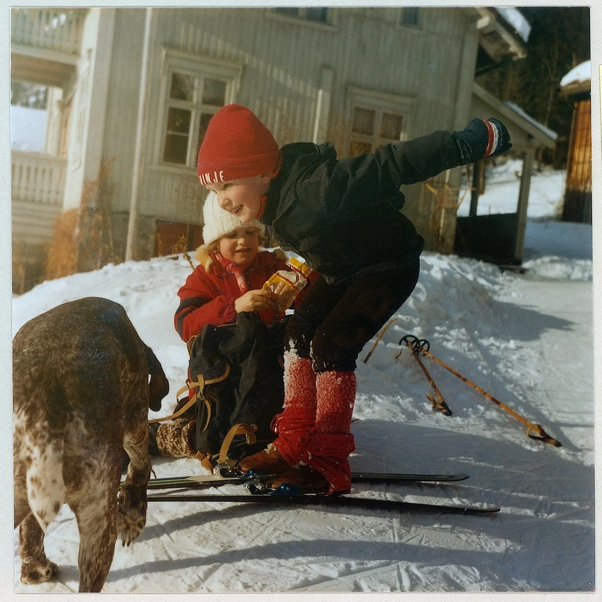 «Ut i tunet og spenne på seg skia. Renne i bakkane rundt huset. Ein heilt vanleg barndomslaurdag. Eg og Gunne har nett fått kvar vår pose potetgull, så humøret er på topp. No skal det hoppast!»