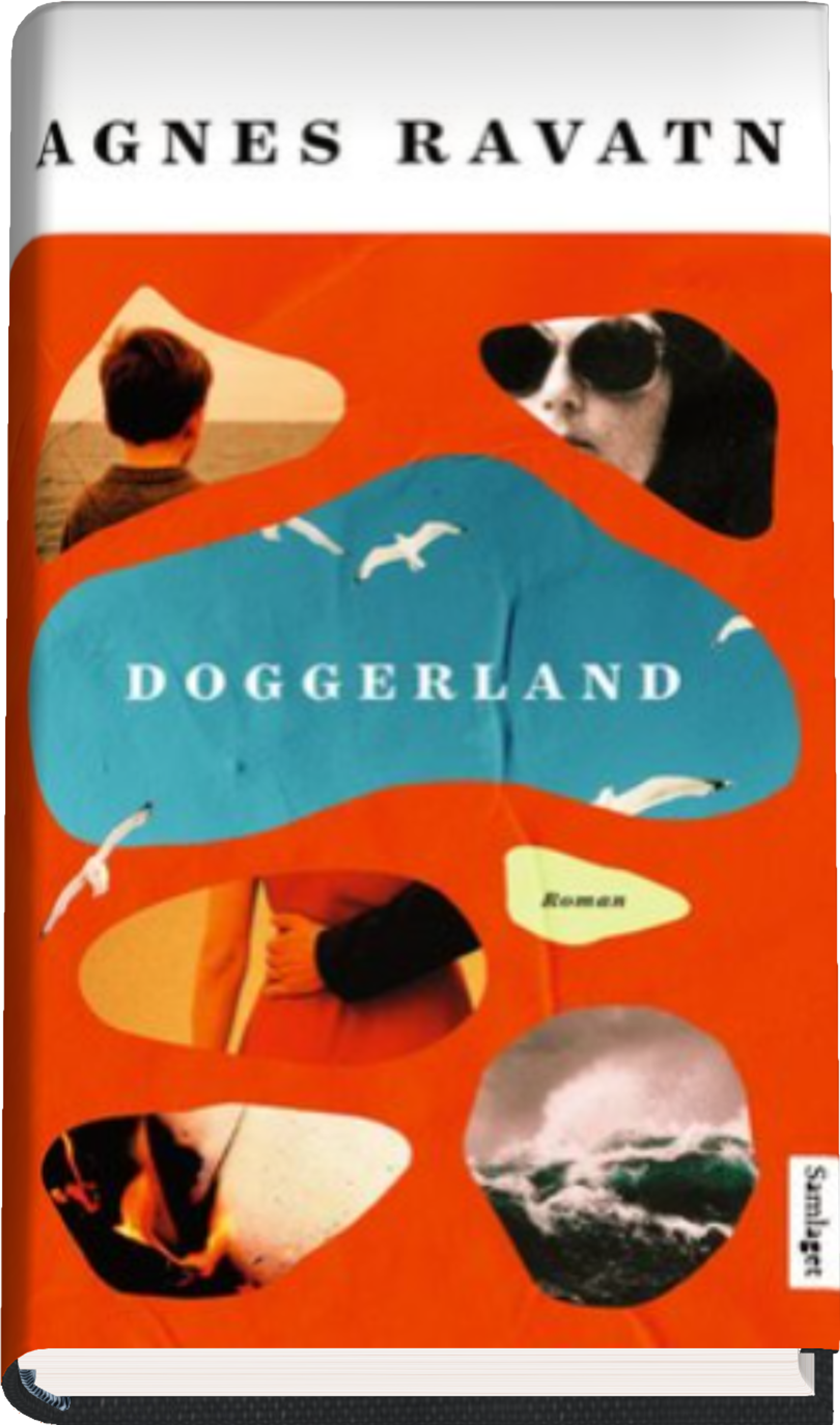Bokomslag for "Doggerland av Agnes Ravatn"