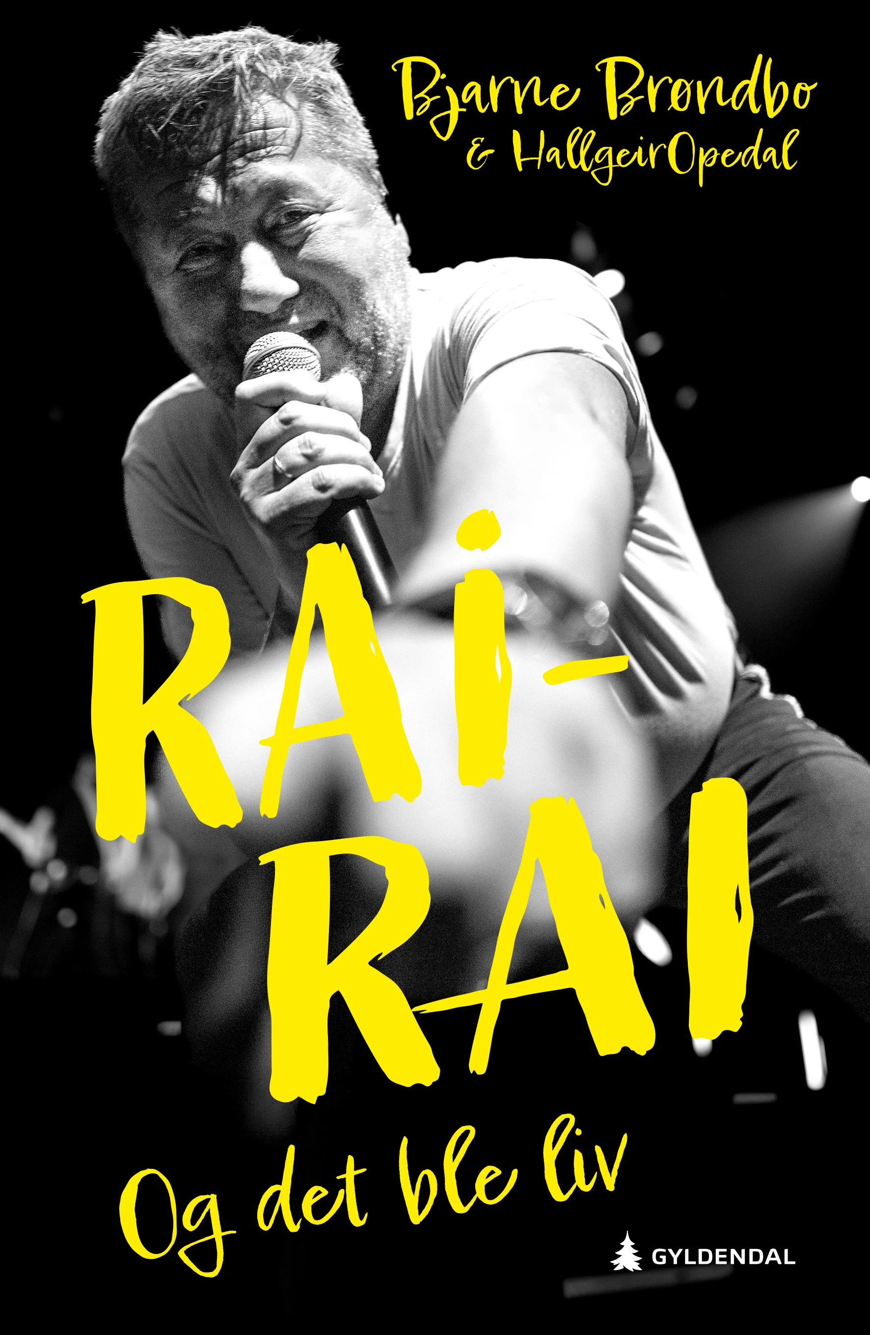 Rai-rai 