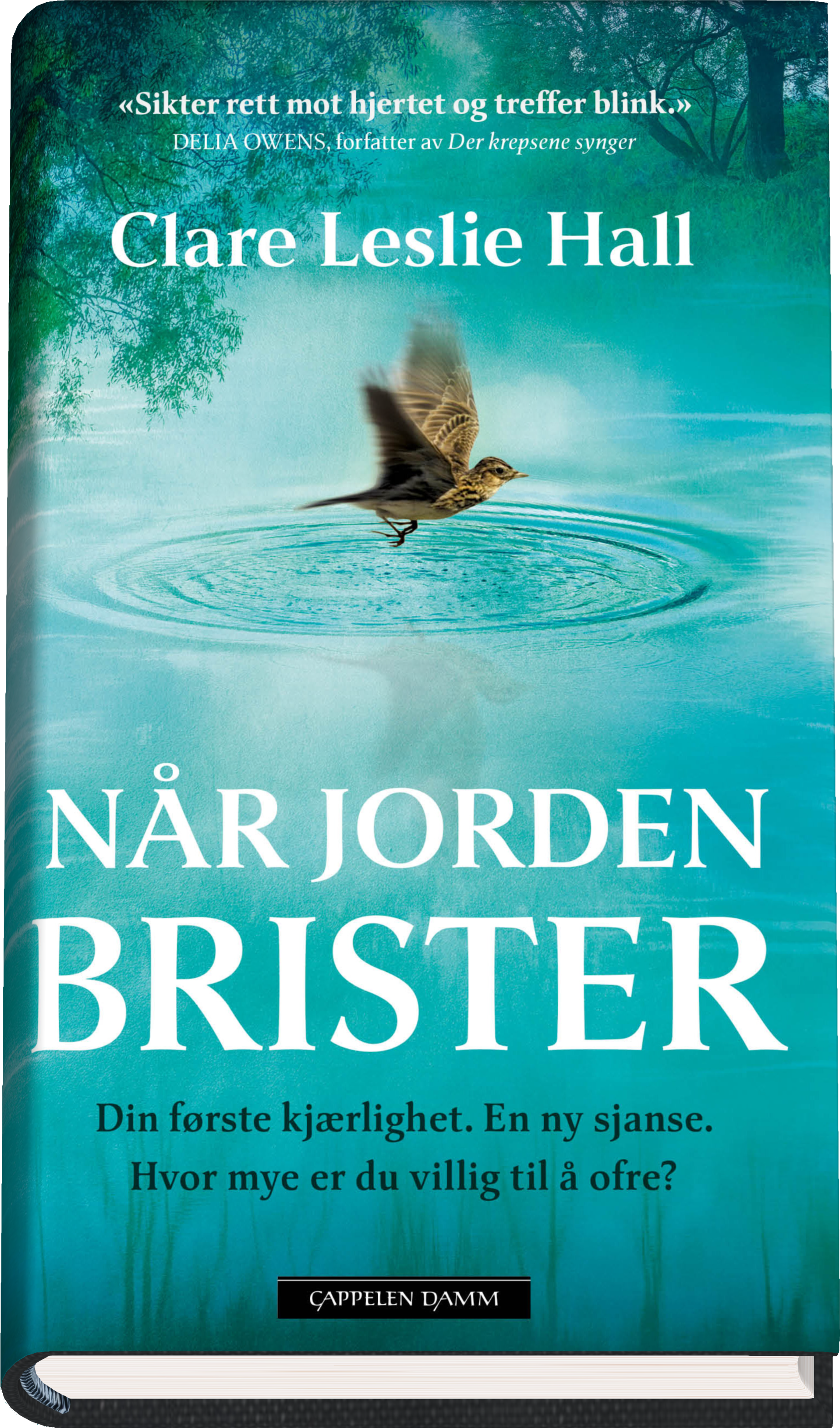 Bokomslag for "Når jorden brister  av Clare Leslie Hall"