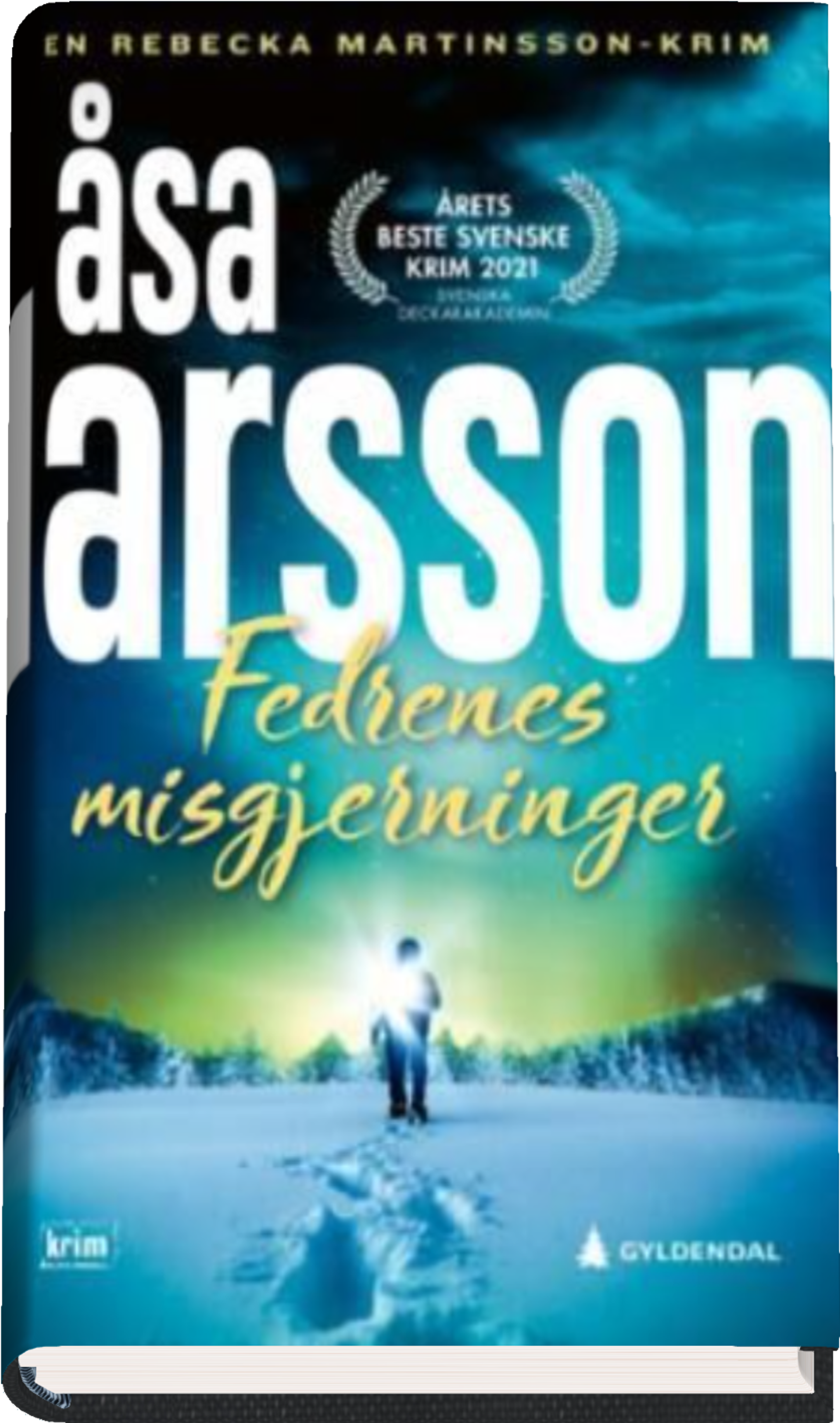 Bokomslag for "Fedrenes misgjerninger av Åsa Larson"