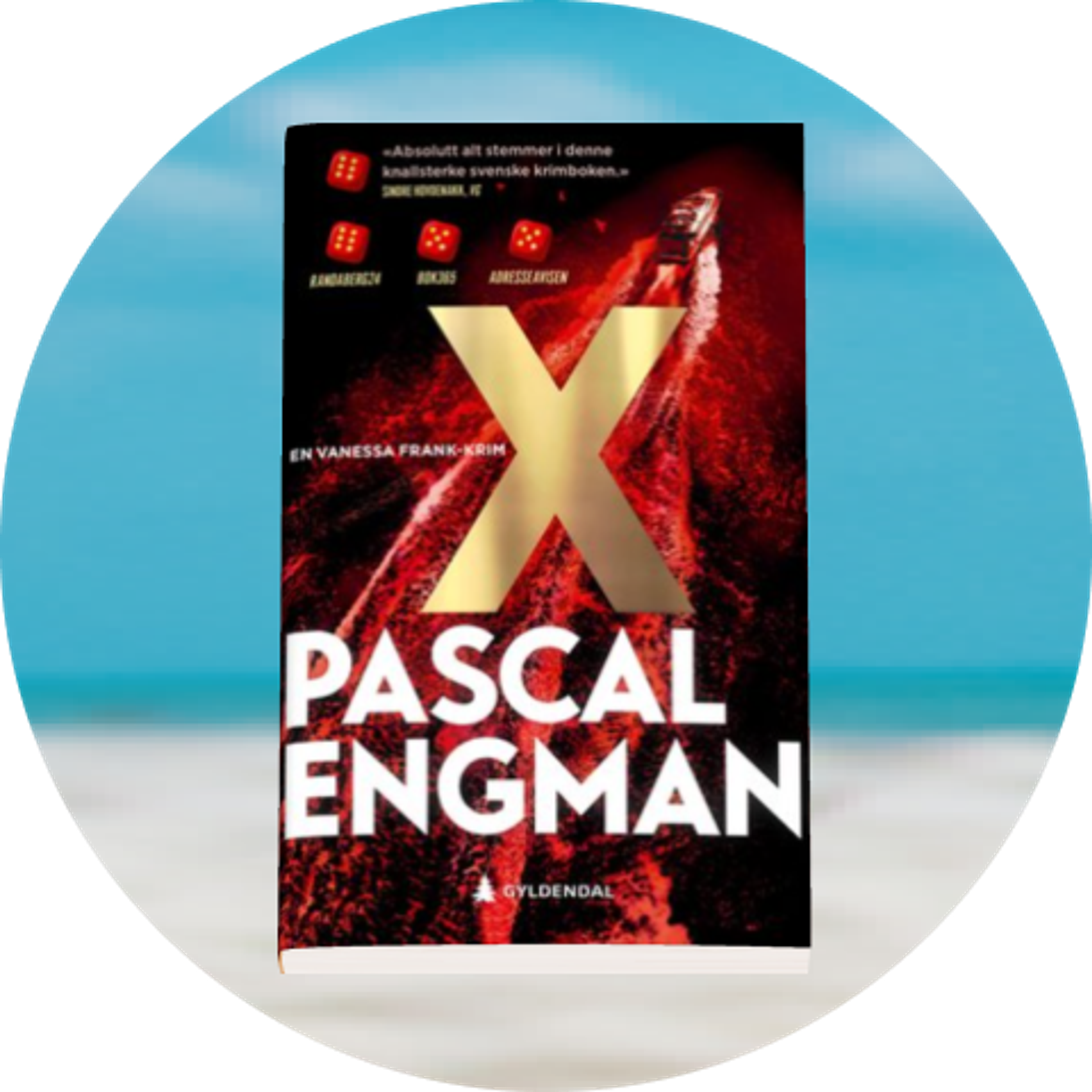 Cover av Pascal Engman - X