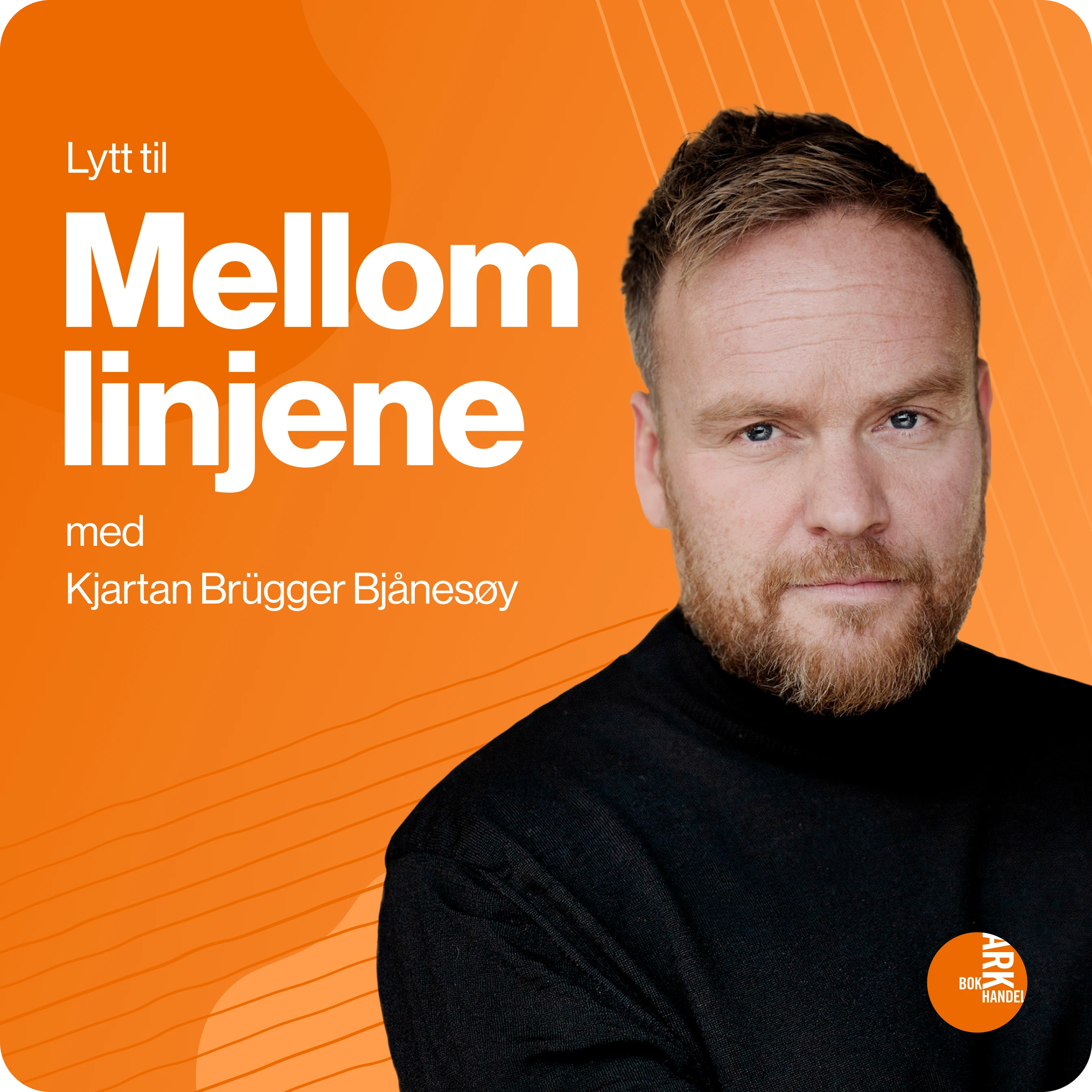 Mellom linjene