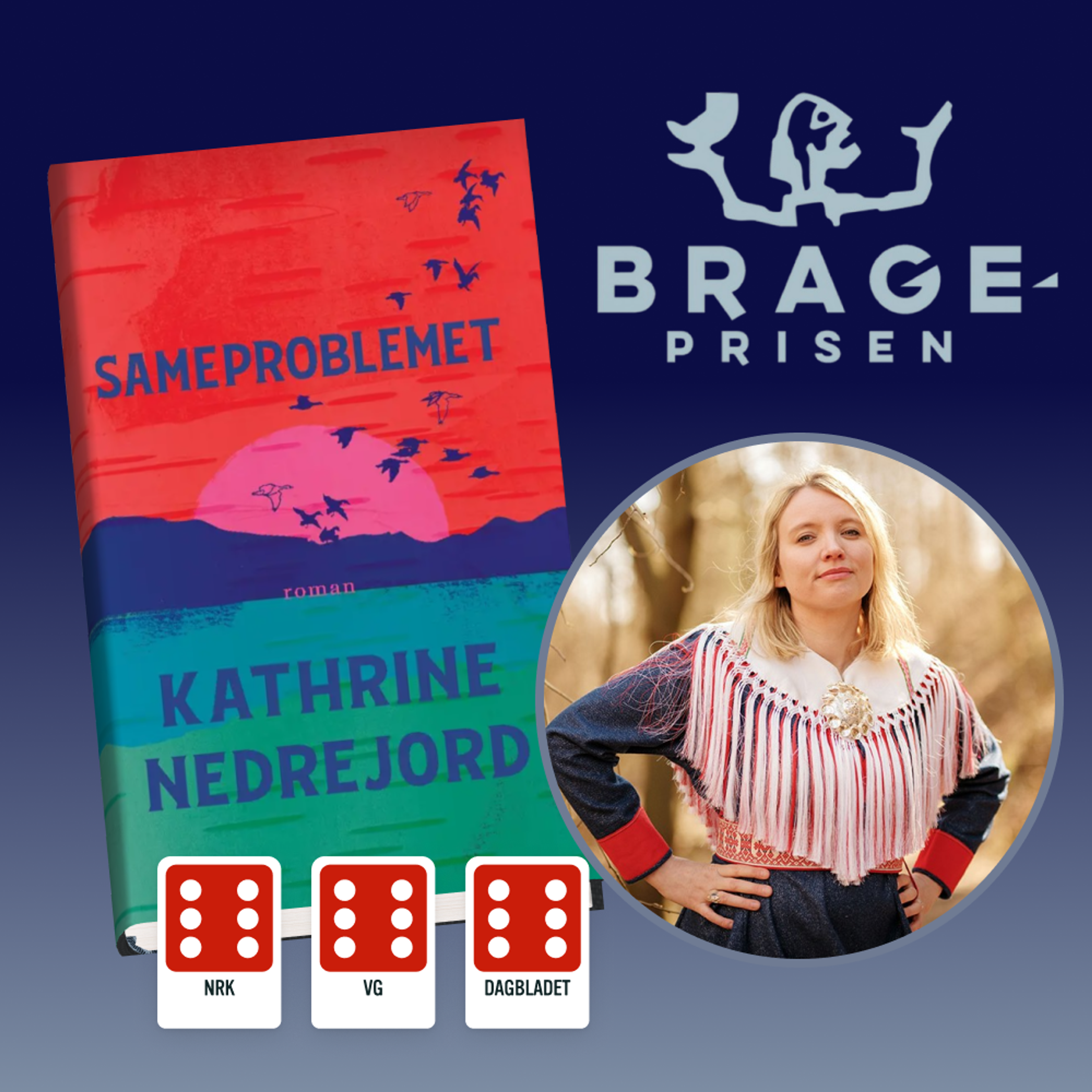 Sameproblemet av Kathrine Nedrejord