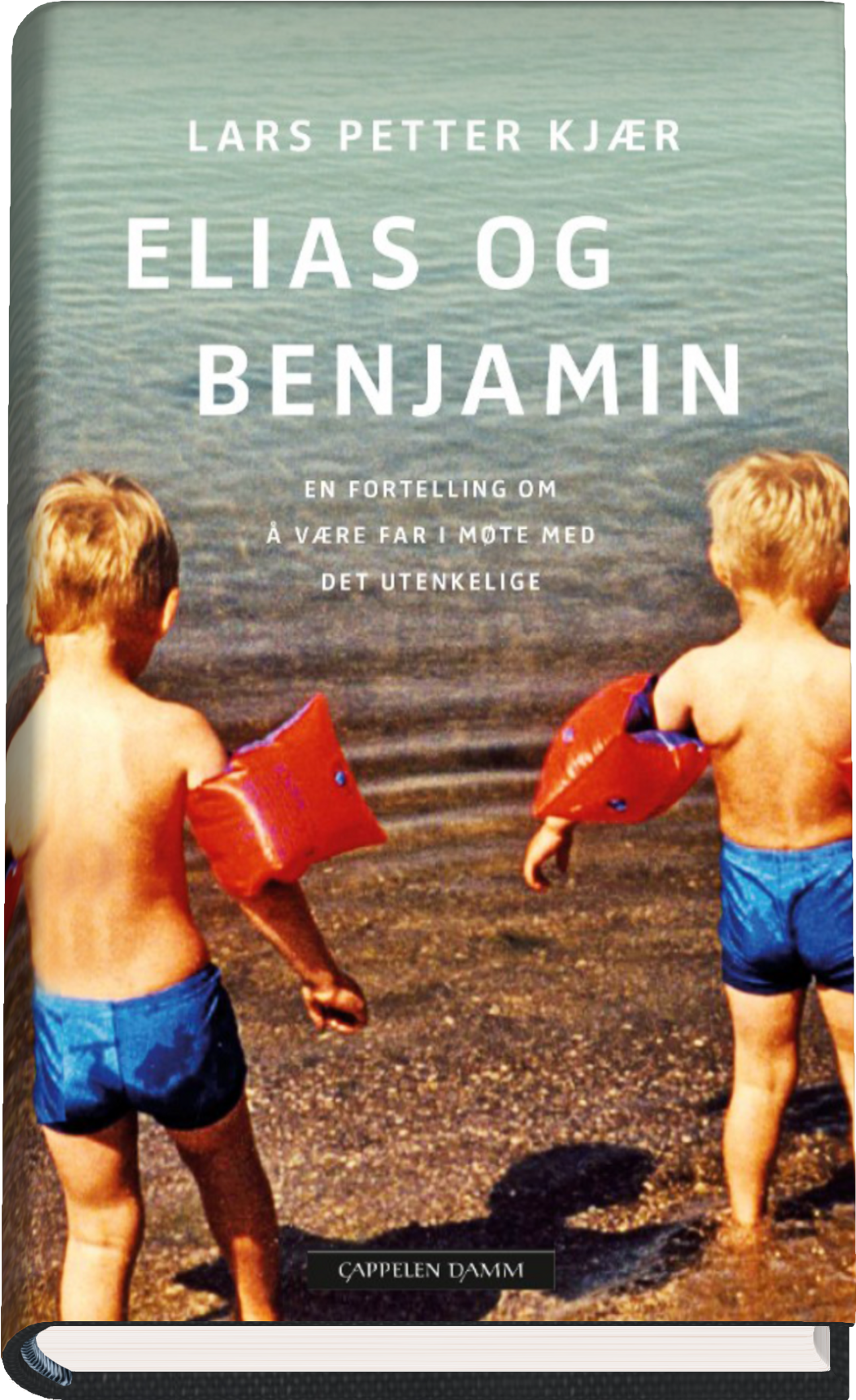 Boka Benjamin og Elias handler om maktesløsheten etter et selvmord. 