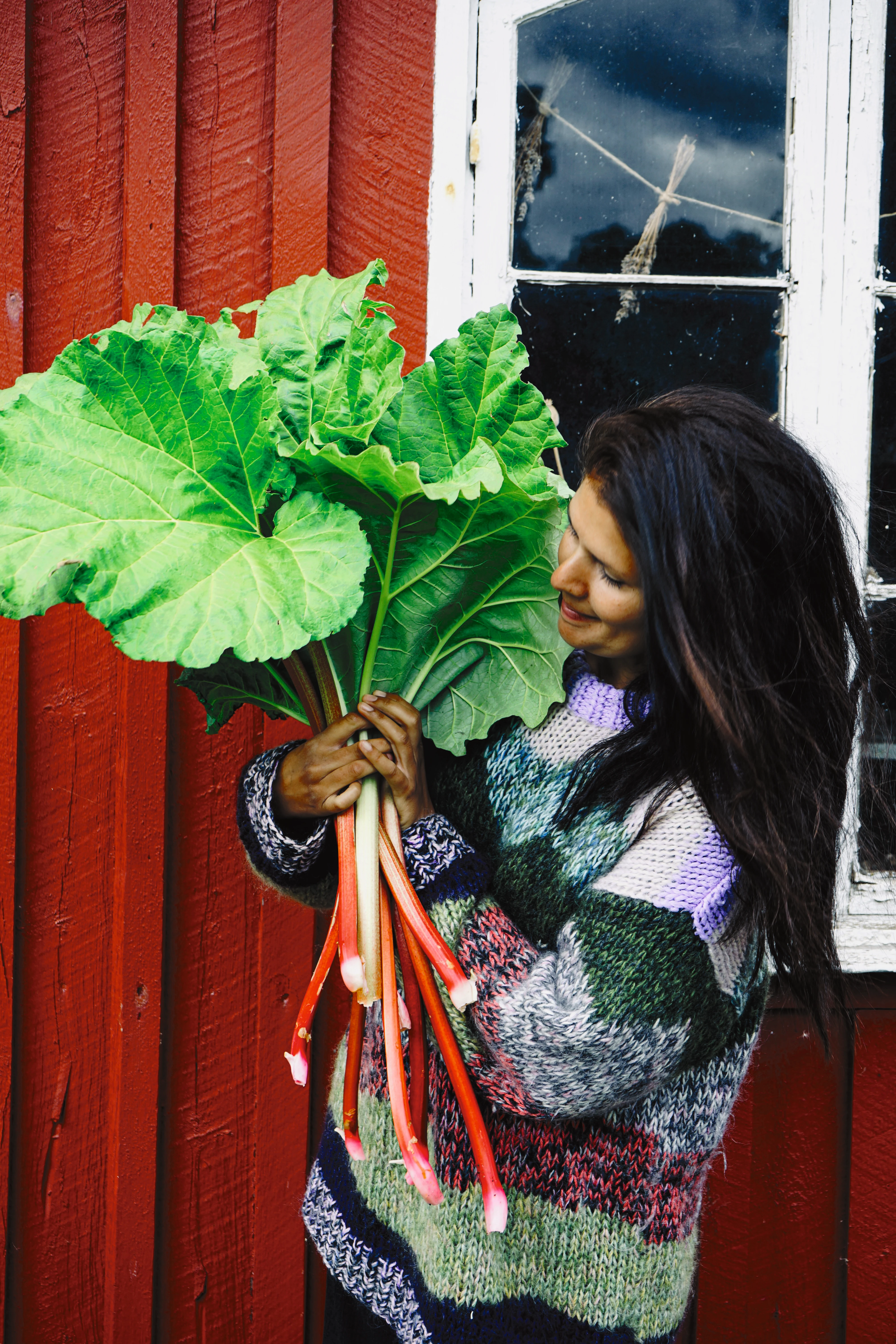 Victoria med rabarbra fra egen hage 