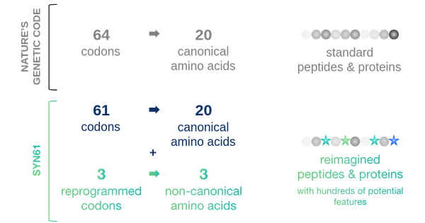 Rewriting biology's source code