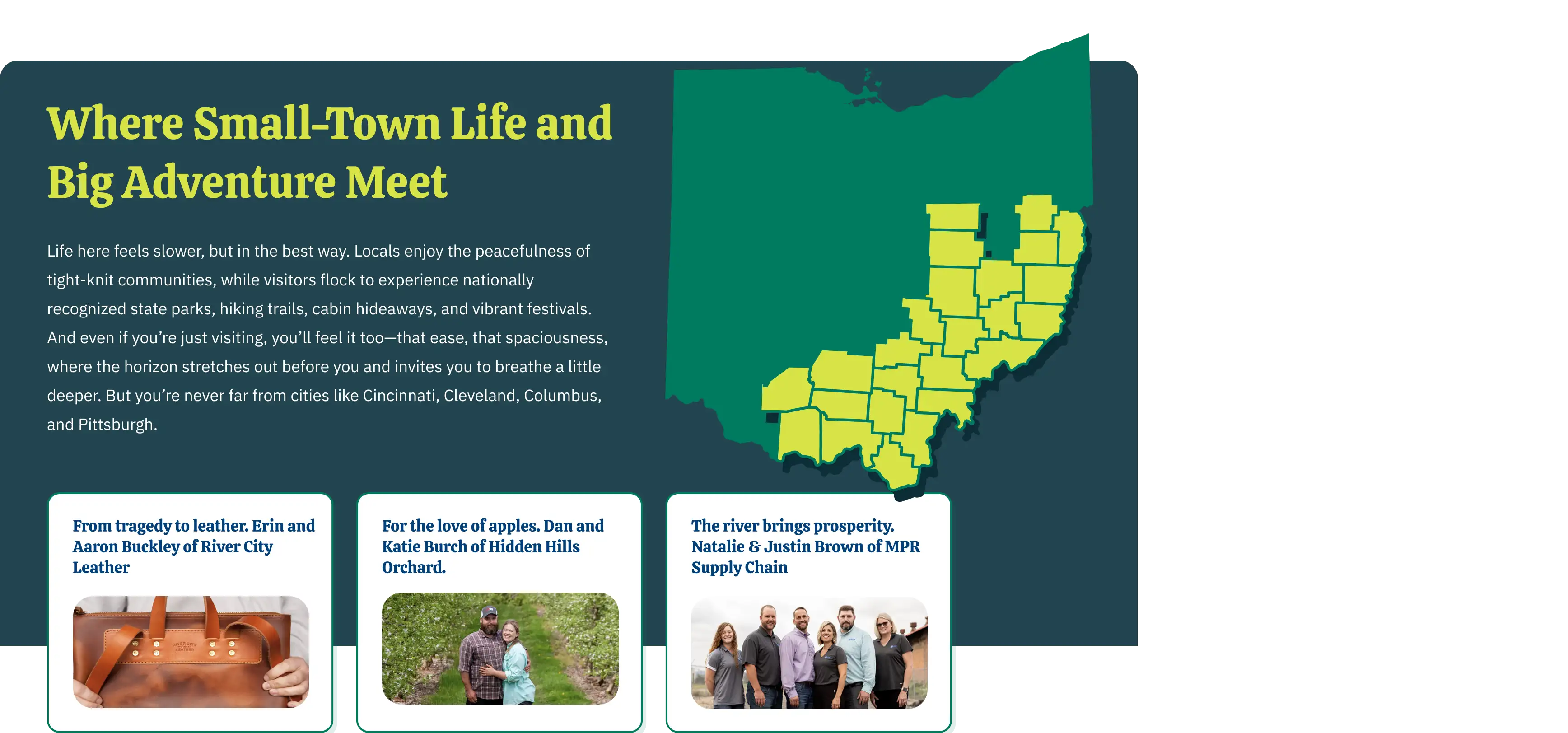 A screenshot of the OhioSE website