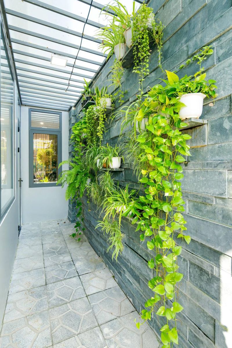 Không xây giếng trời, nhà ống 6×25 chọn giải pháp nào để trong nhà vẫn đón gió và thoáng sáng?