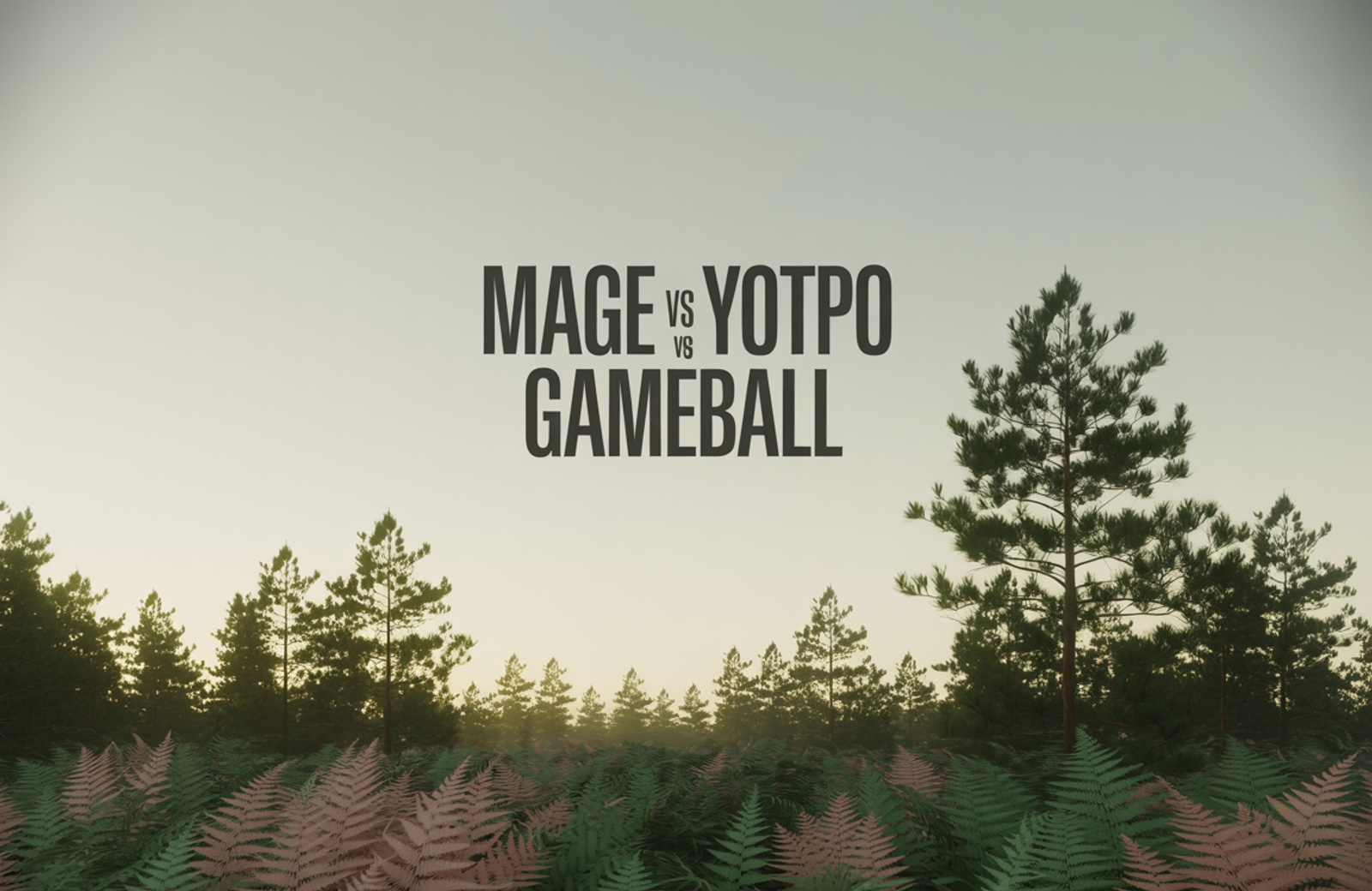 Mage vs Yotpo vs Gameball: 2026 Comparison