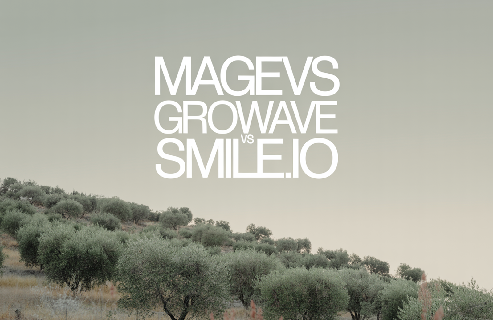 Mage vs Growave vs Smile.io: 2026 Comparison