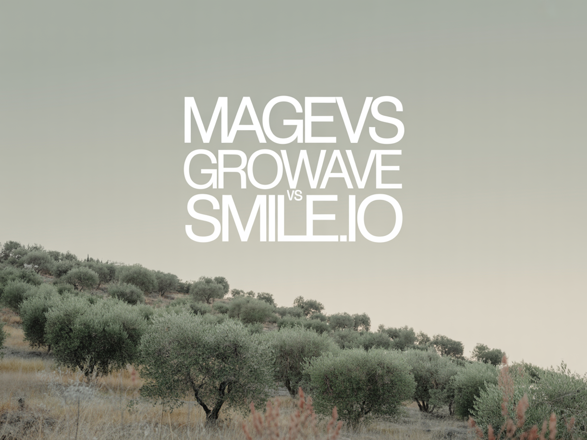 Mage vs Growave vs Smile.io: 2026 Comparison