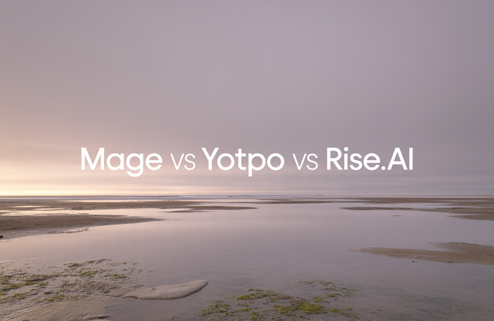 Mage vs Yotpo vs Rise.ai: 2026 Comparison