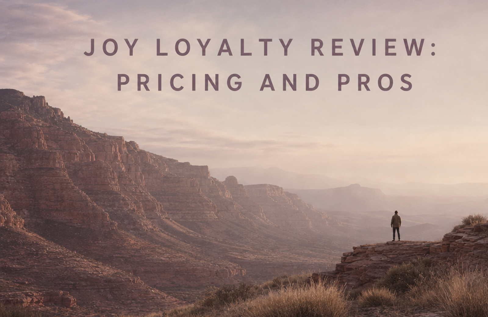 Joy Loyalty Shopify app review showing loyalty points, VIP tiers, and referral rewards