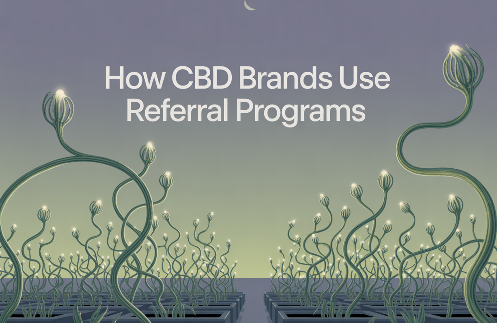 CBD Referral Programs: How Brands Grow Without Paid Ads