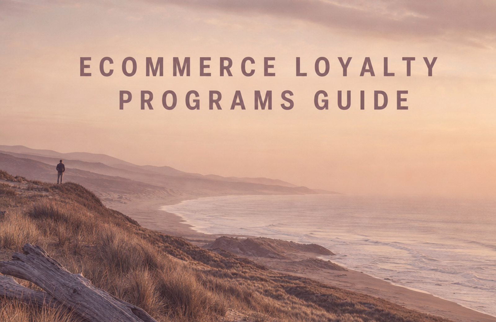 Ecommerce Loyalty Programs: Complete 2026 Guide for DTC Brands