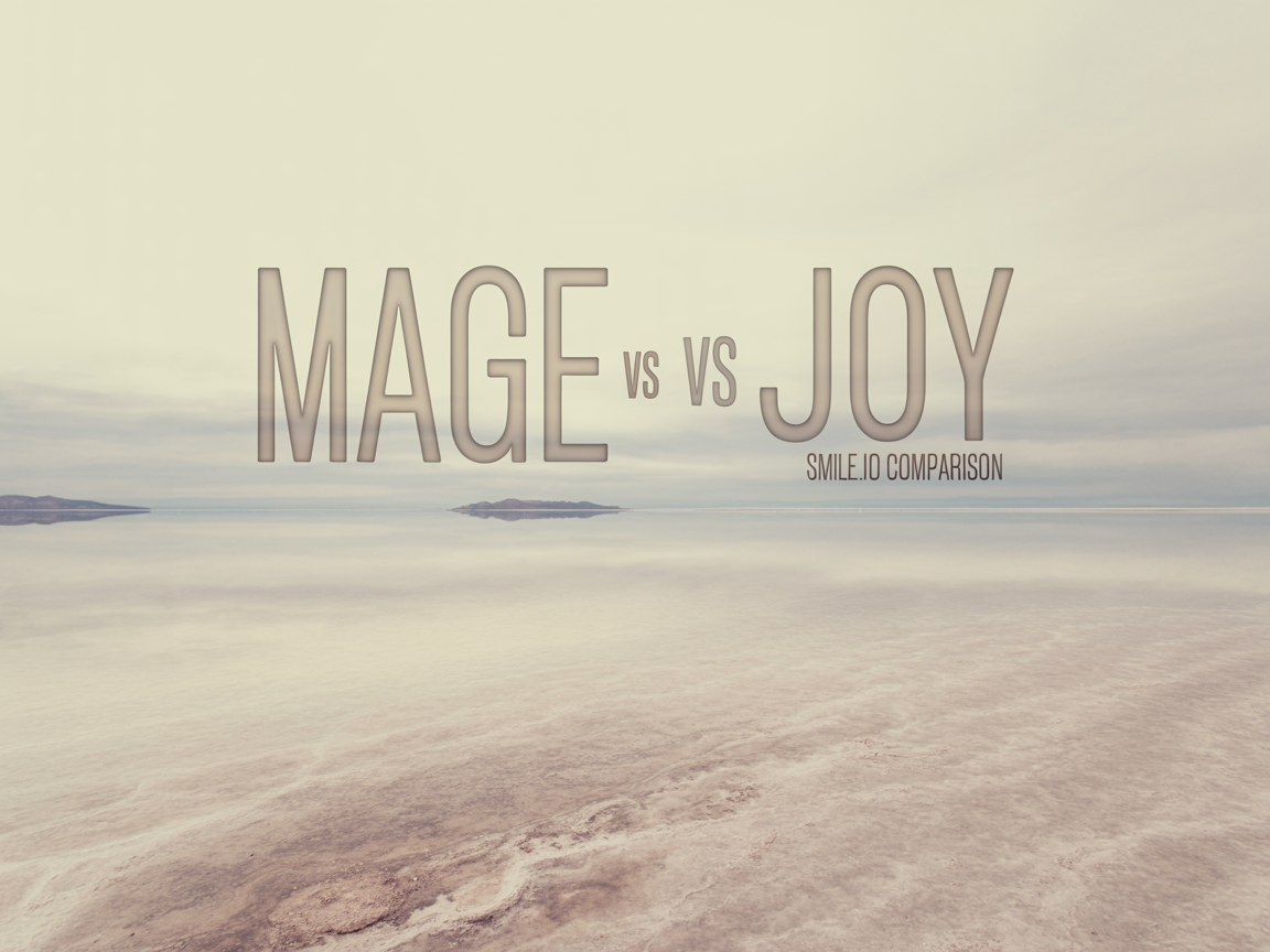 Mage vs Joy Loyalty vs Smile.io: 2026 Comparison