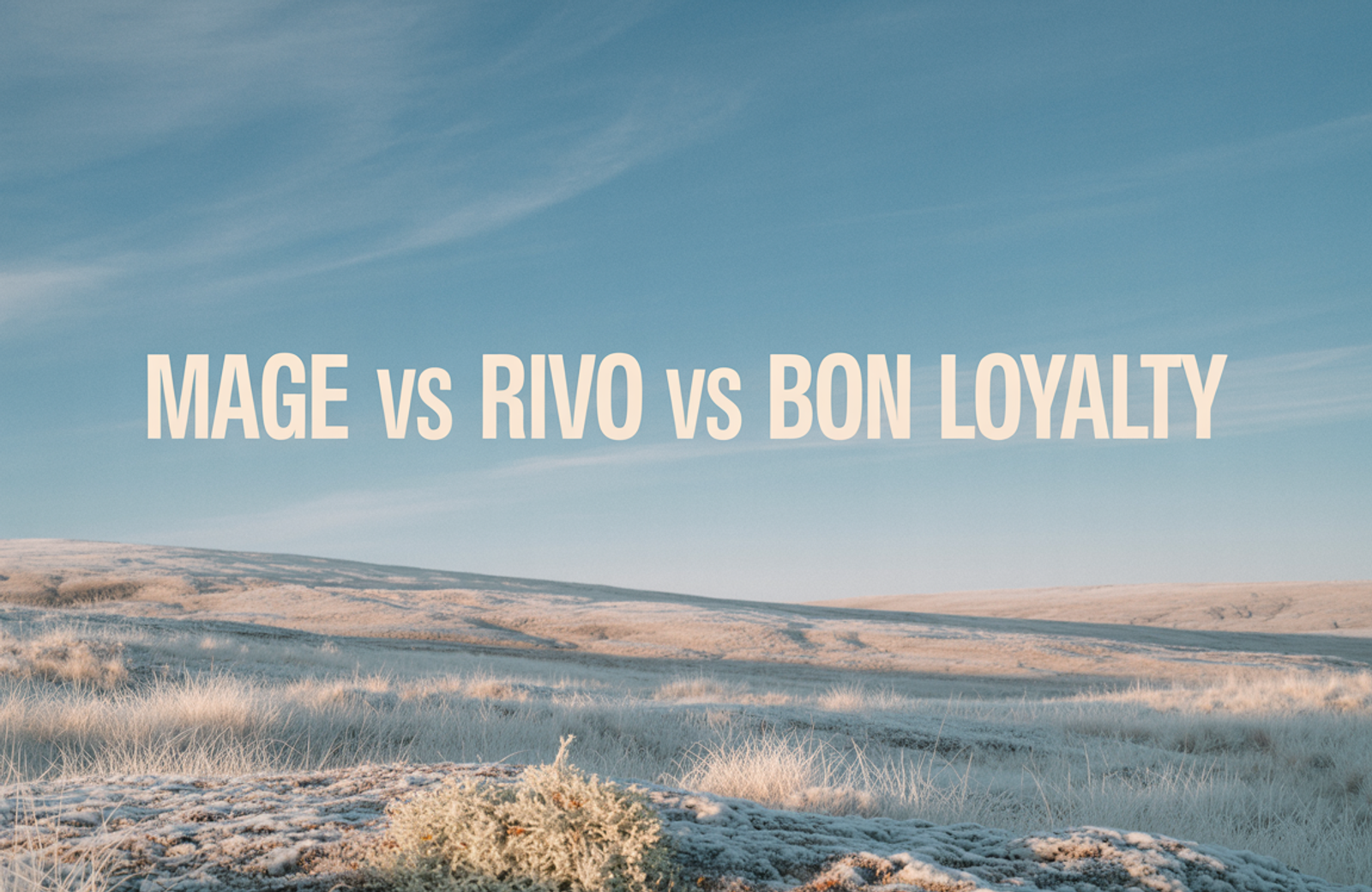 Mage vs Rivo vs BON Loyalty: 2026 Comparison