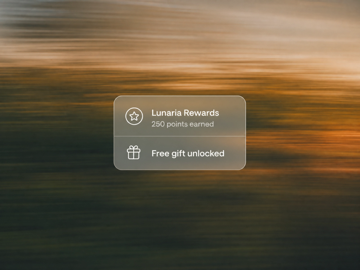Minimalist landscape with article title rendered in sky text about Black Friday customer retention benchmarks and post-sale b