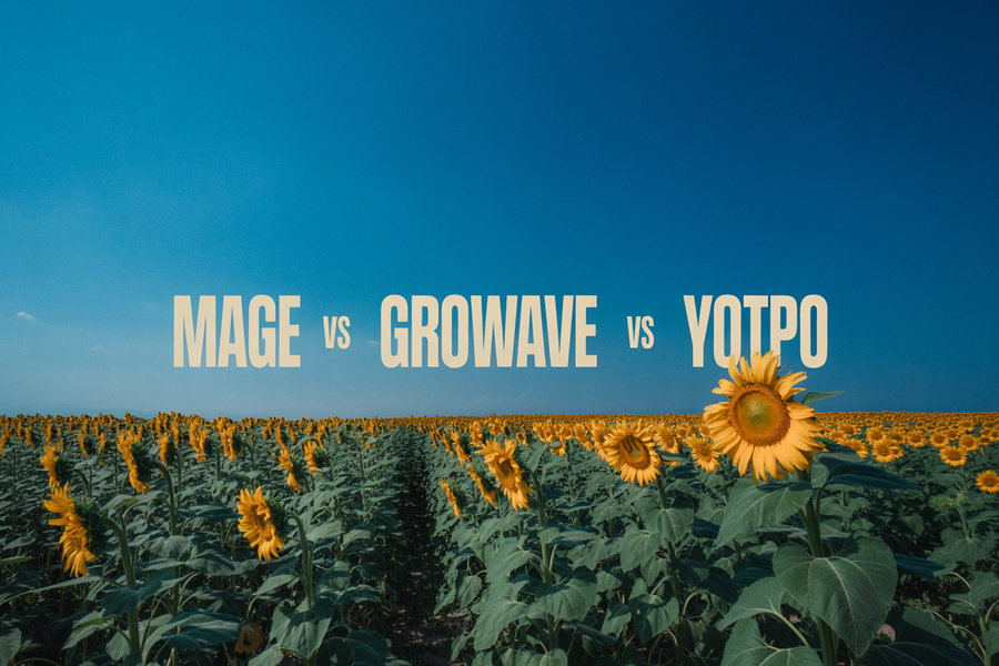 Mage vs Growave vs Yotpo: 2026 Comparison