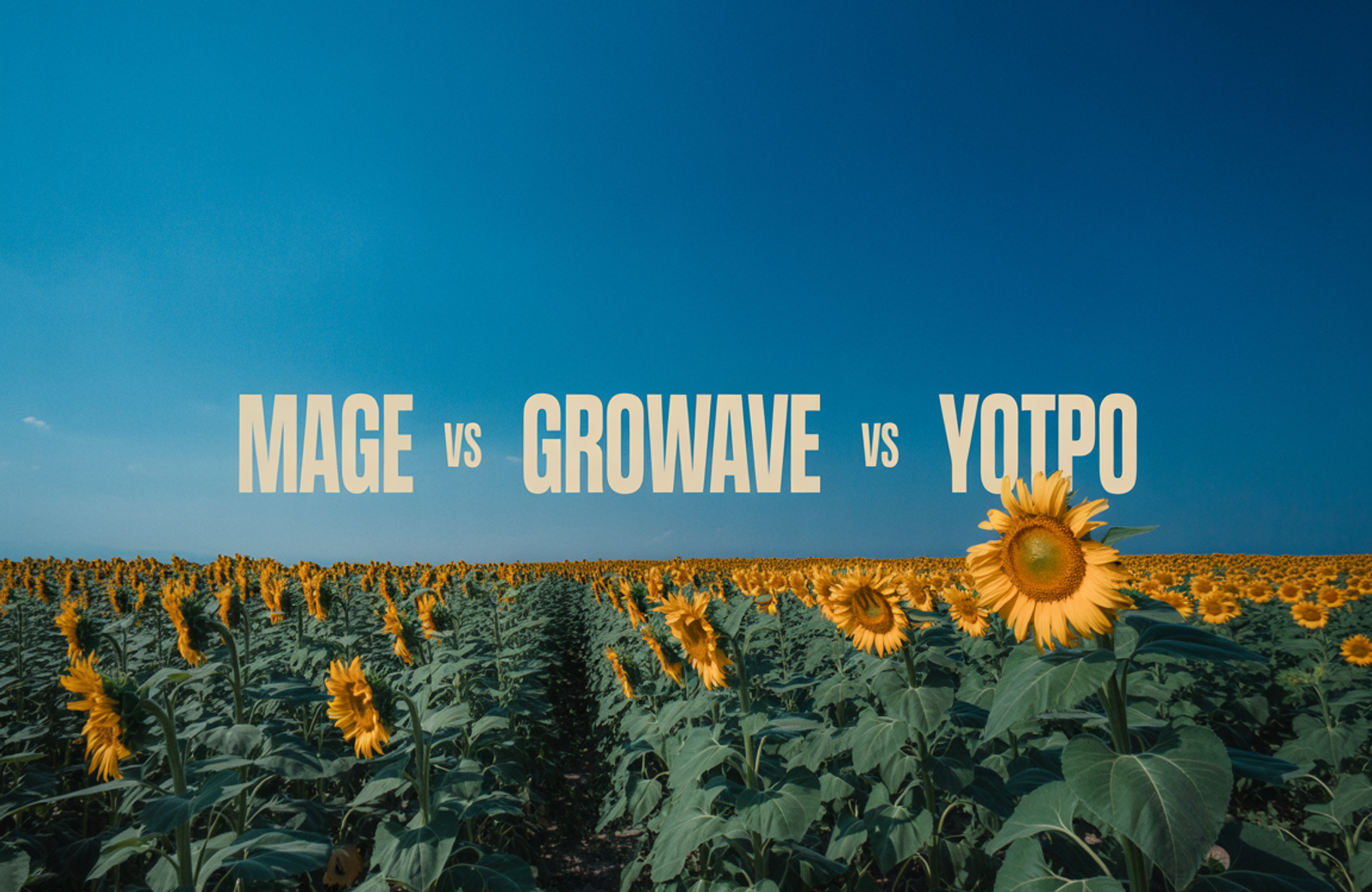 Mage vs Growave vs Yotpo: 2026 Comparison