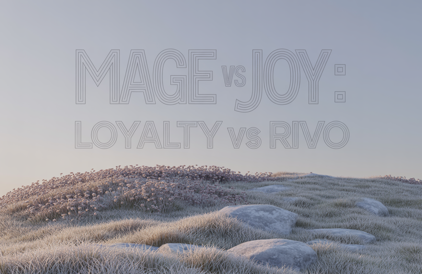 Mage vs Joy Loyalty vs Rivo: 2026 Comparison